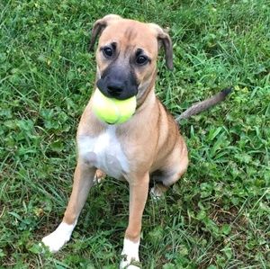 Meet your Posher, Kaitlin